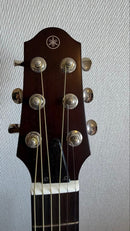 Yamaha Other Slg200S Tbs Ac