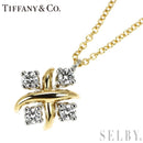 Tiffany Necklace Pt950/ K18Yg