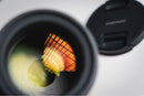 Prime Lenses Samyang Af F1.4 Fe Ii E