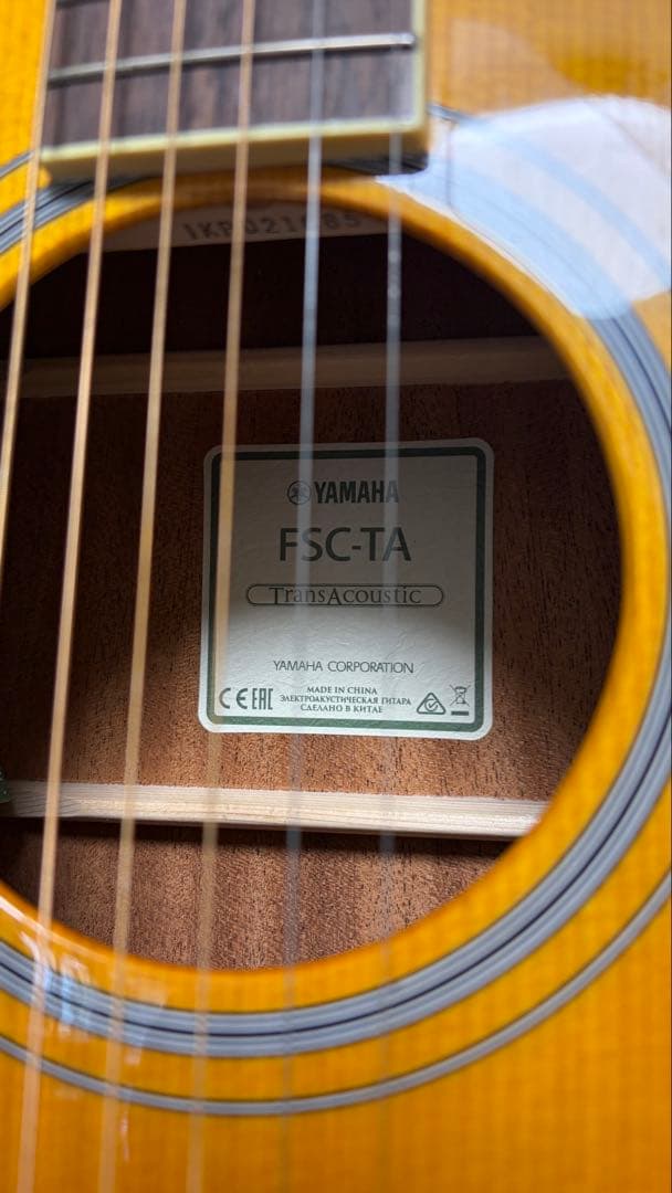 Yamaha Acoustic Guitars Fsc-Ta Vt Transacoustic