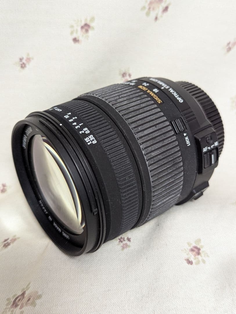 Sigma Zoom Lenses 18-125Mm F3.8-5.6 Dc Os Hsm