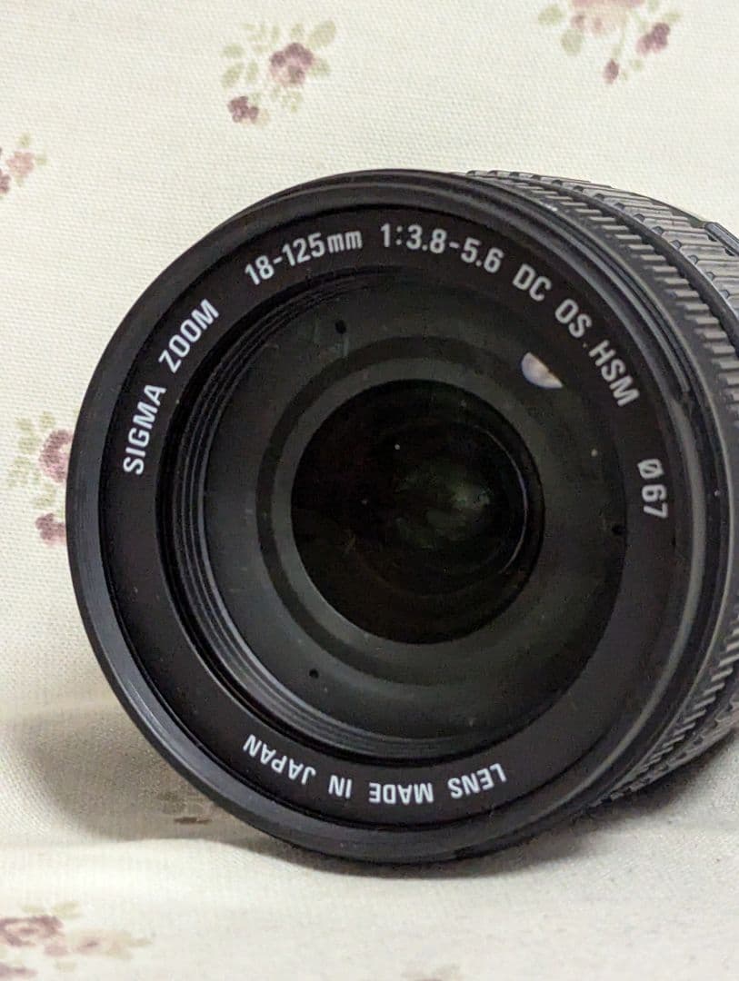 Sigma Zoom Lenses 18-125Mm F3.8-5.6 Dc Os Hsm