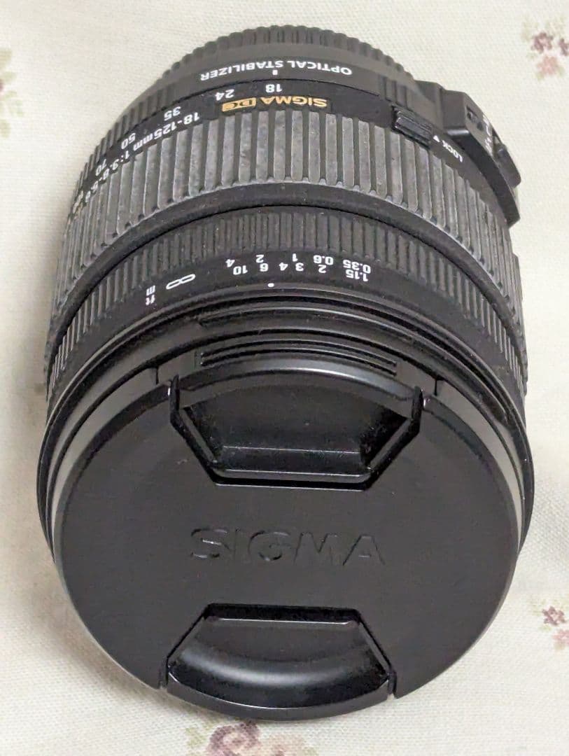 Sigma Zoom Lenses 18-125Mm F3.8-5.6 Dc Os Hsm
