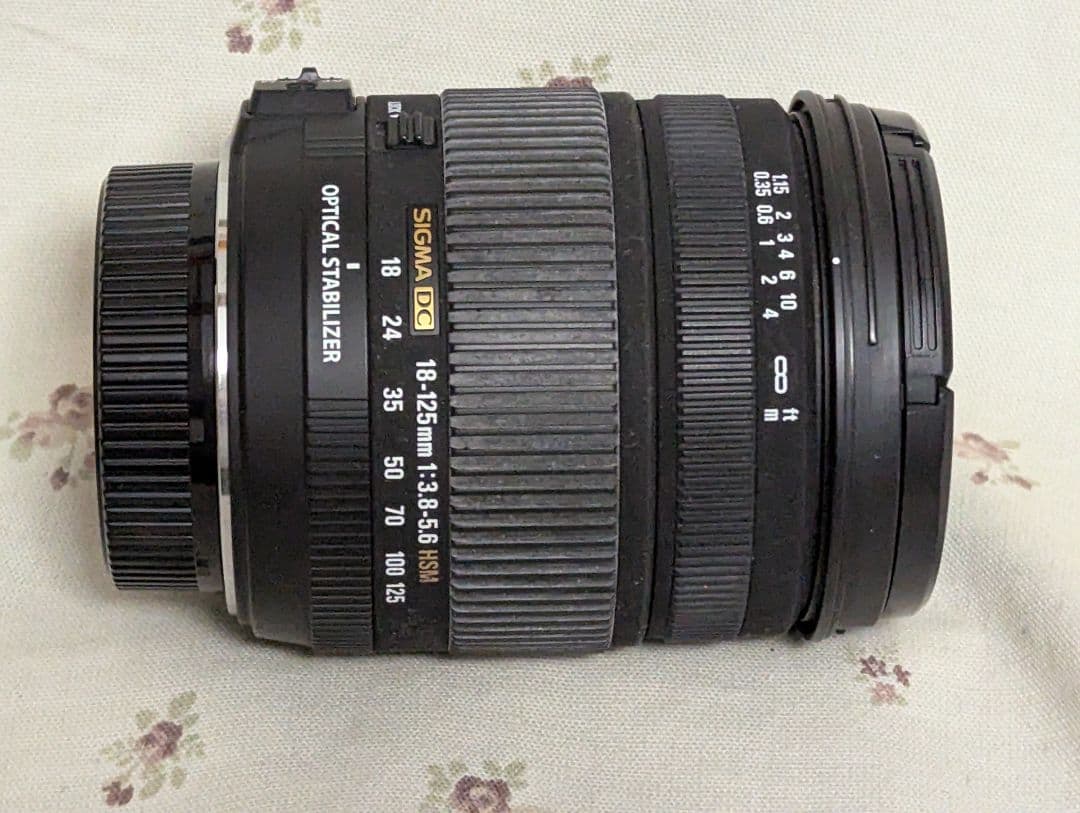 Sigma Zoom Lenses 18-125Mm F3.8-5.6 Dc Os Hsm
