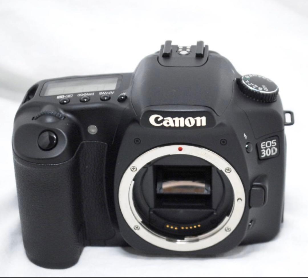 Canon Digital Slrs Eos 30D