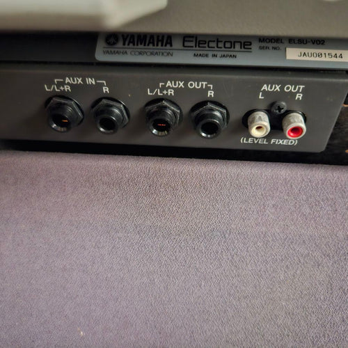 Yamaha Electronic Organs Els-02C 08