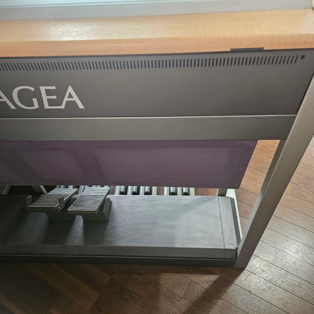Yamaha Electronic Organs Els-02C 08