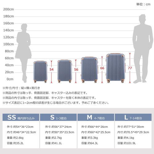 Carry Case S 2 3 Tsa 1