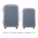 Carry Case S 2 3 Tsa 1