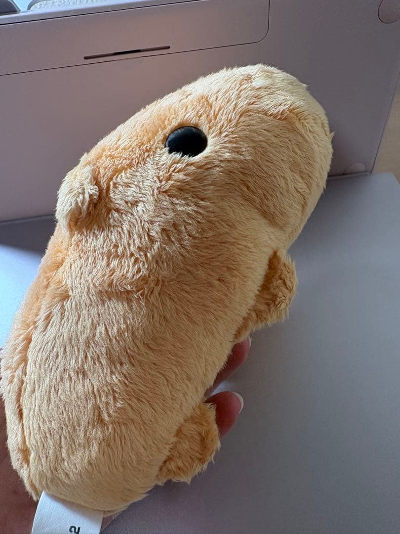 Plush Toys Stuffed 2