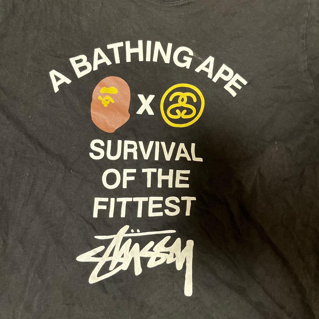 Short-Sleeve A Bathing Ape X Stussy T