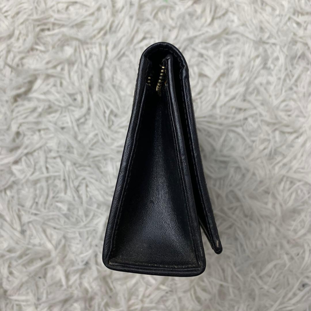 Celine Other