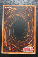 Yu-Gi-Oh! Ocg Duel Monsters (Foreign Languages)