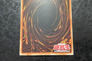 Yu-Gi-Oh! Ocg Duel Monsters (Foreign Languages)