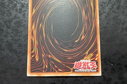Yu-Gi-Oh! Ocg Duel Monsters (Foreign Languages)