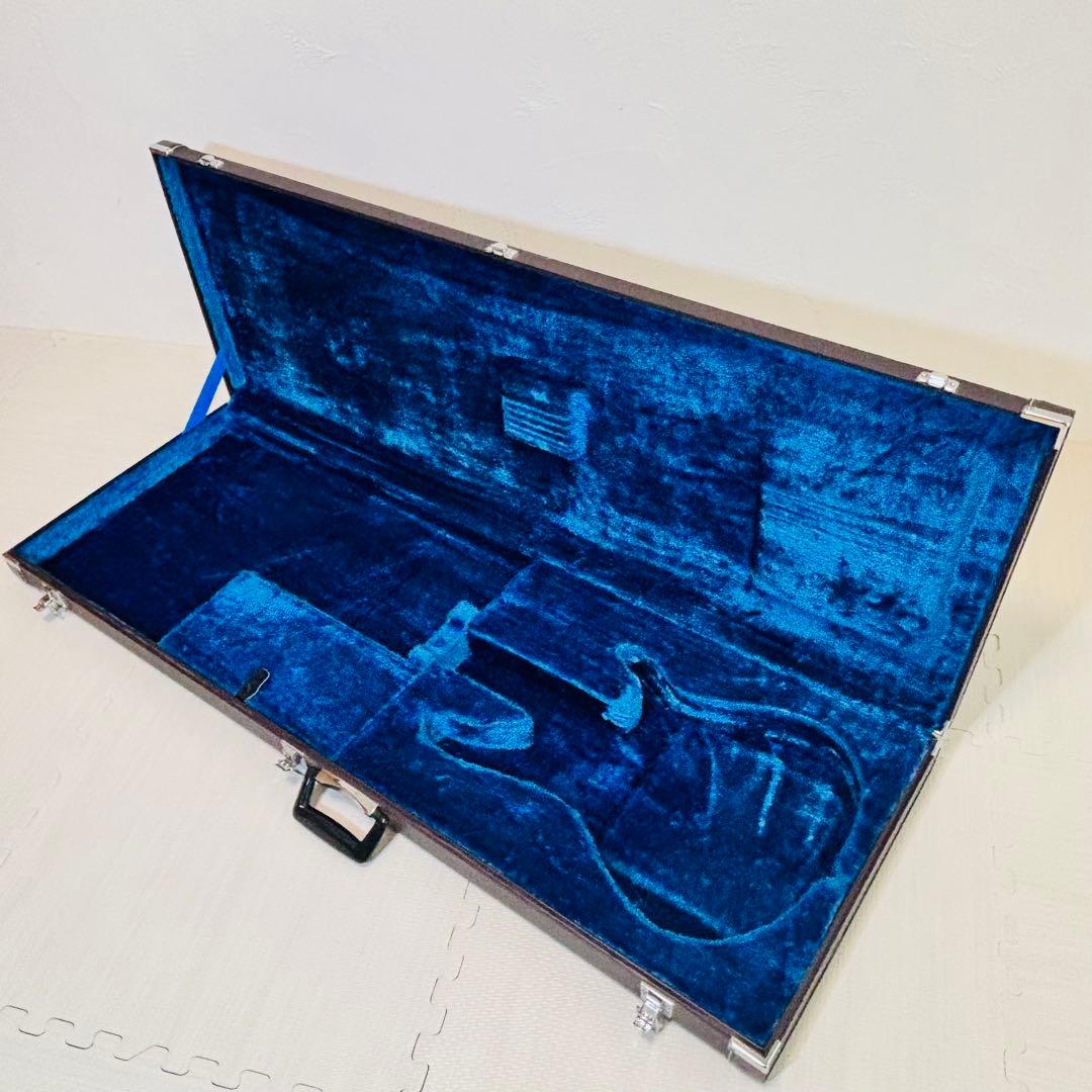 Yamaha Guitar Cases