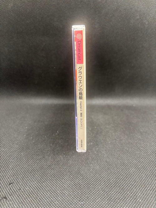 Sega Games Dc Kapitel4