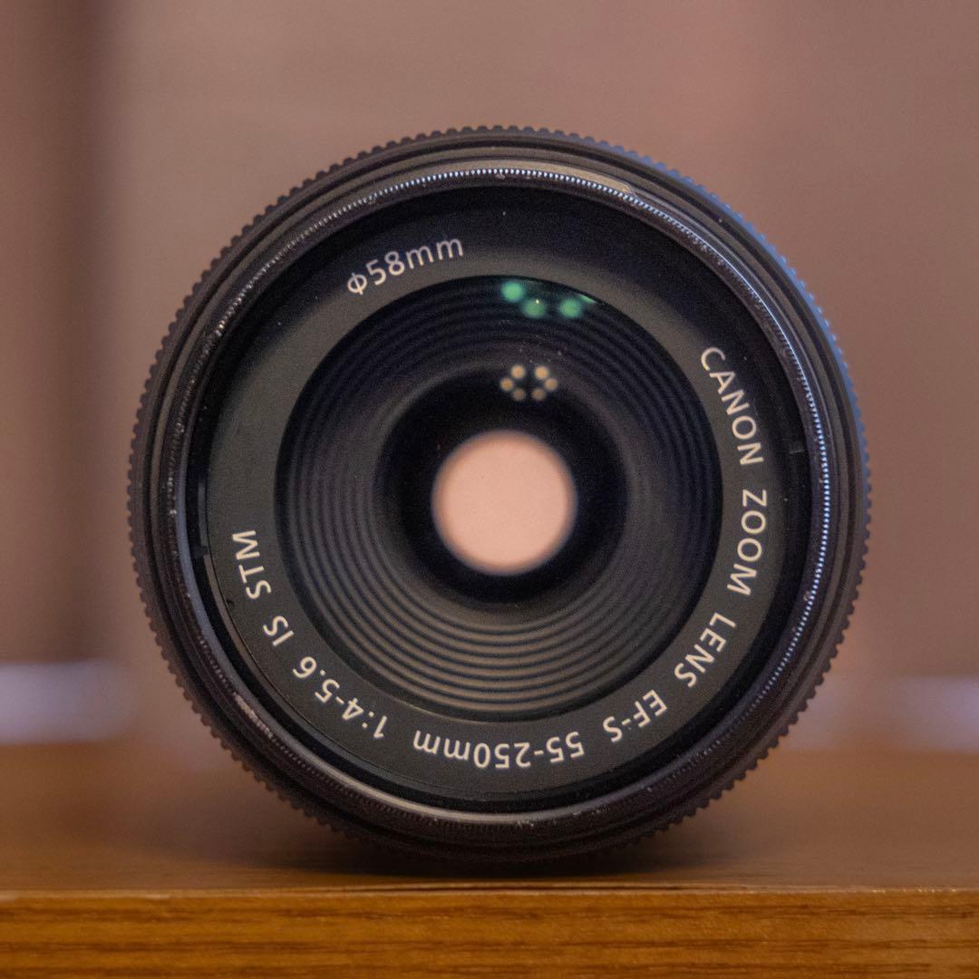 Canon Zoom Lenses Ef-S55-250Mm Is Stm