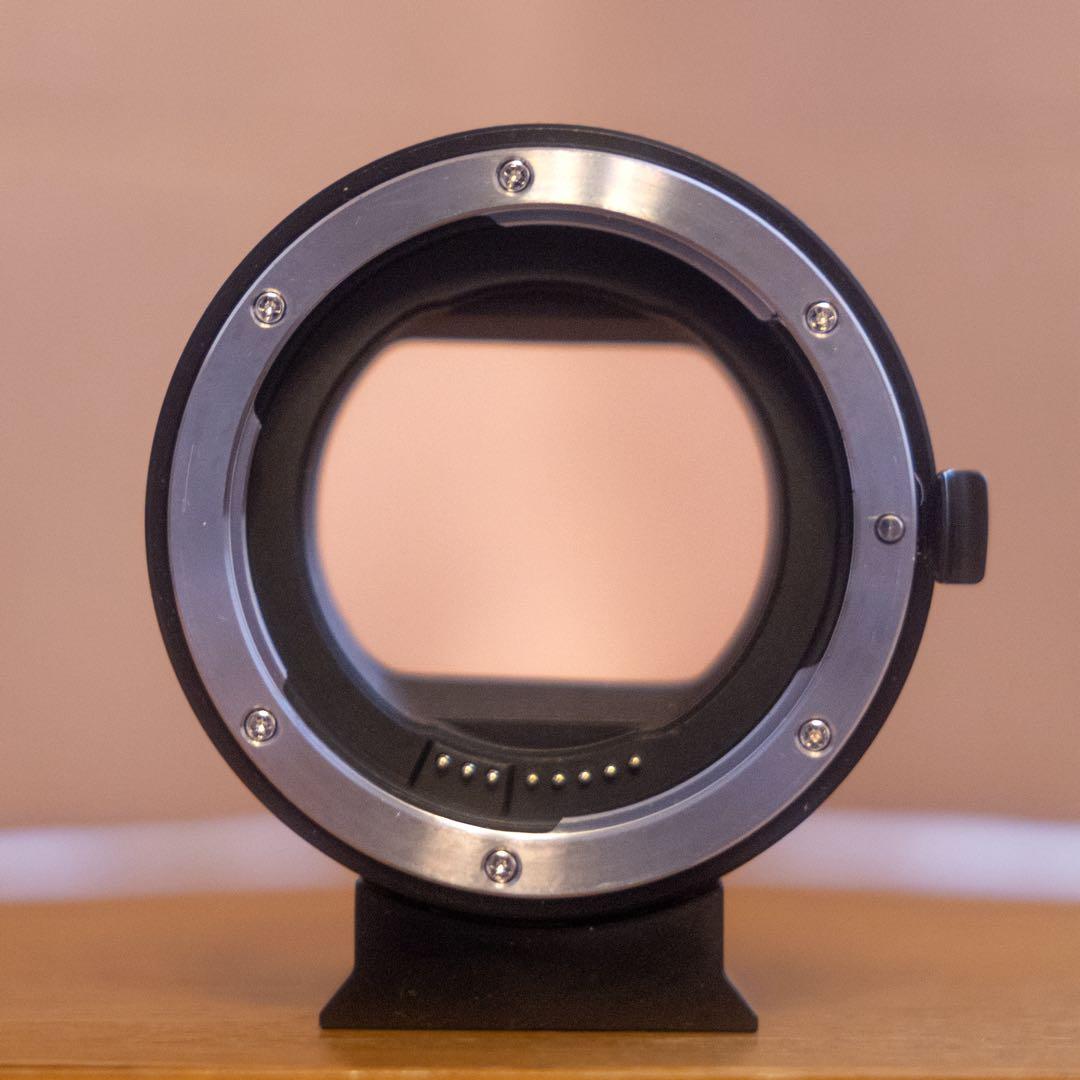 Canon Zoom Lenses Ef-S55-250Mm Is Stm