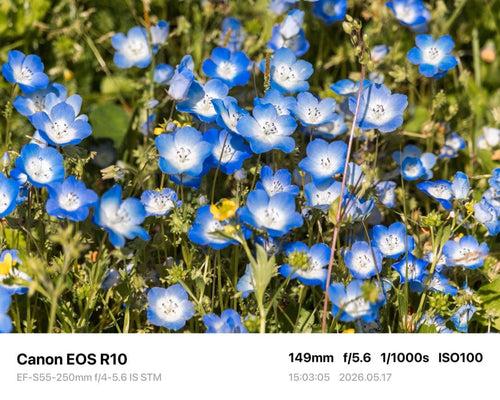 Canon Zoom Lenses Ef-S55-250Mm Is Stm