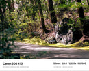 Canon Zoom Lenses Ef-S55-250Mm Is Stm