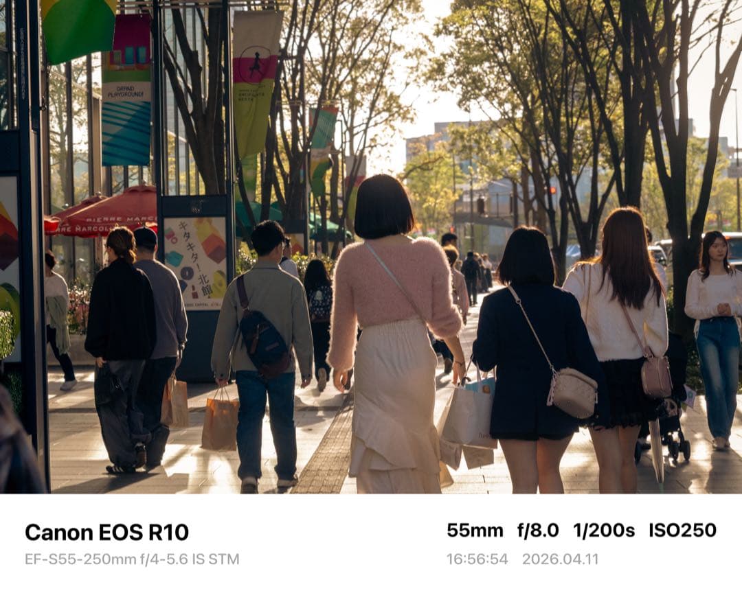 Canon Zoom Lenses Ef-S55-250Mm Is Stm