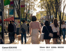 Canon Zoom Lenses Ef-S55-250Mm Is Stm