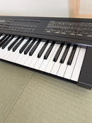 Roland Analog Synthesizers D-10 61