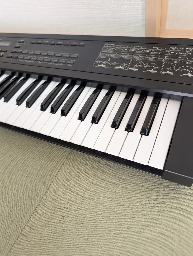 Roland Analog Synthesizers D-10 61