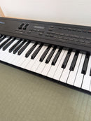 Roland Analog Synthesizers D-10 61