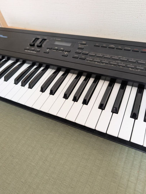 Roland Analog Synthesizers D-10 61