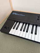 Roland Analog Synthesizers D-10 61