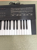 Roland Analog Synthesizers D-10 61