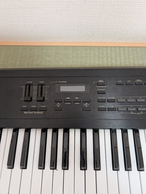 Roland Analog Synthesizers D-10 61