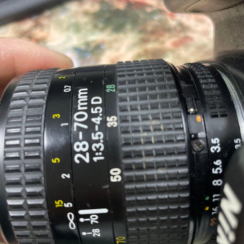 Nikon Digital Slr D80