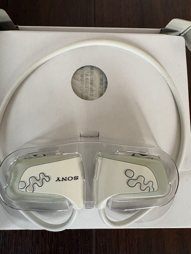 Sony Wireless Earphones W Nwd-W263/B