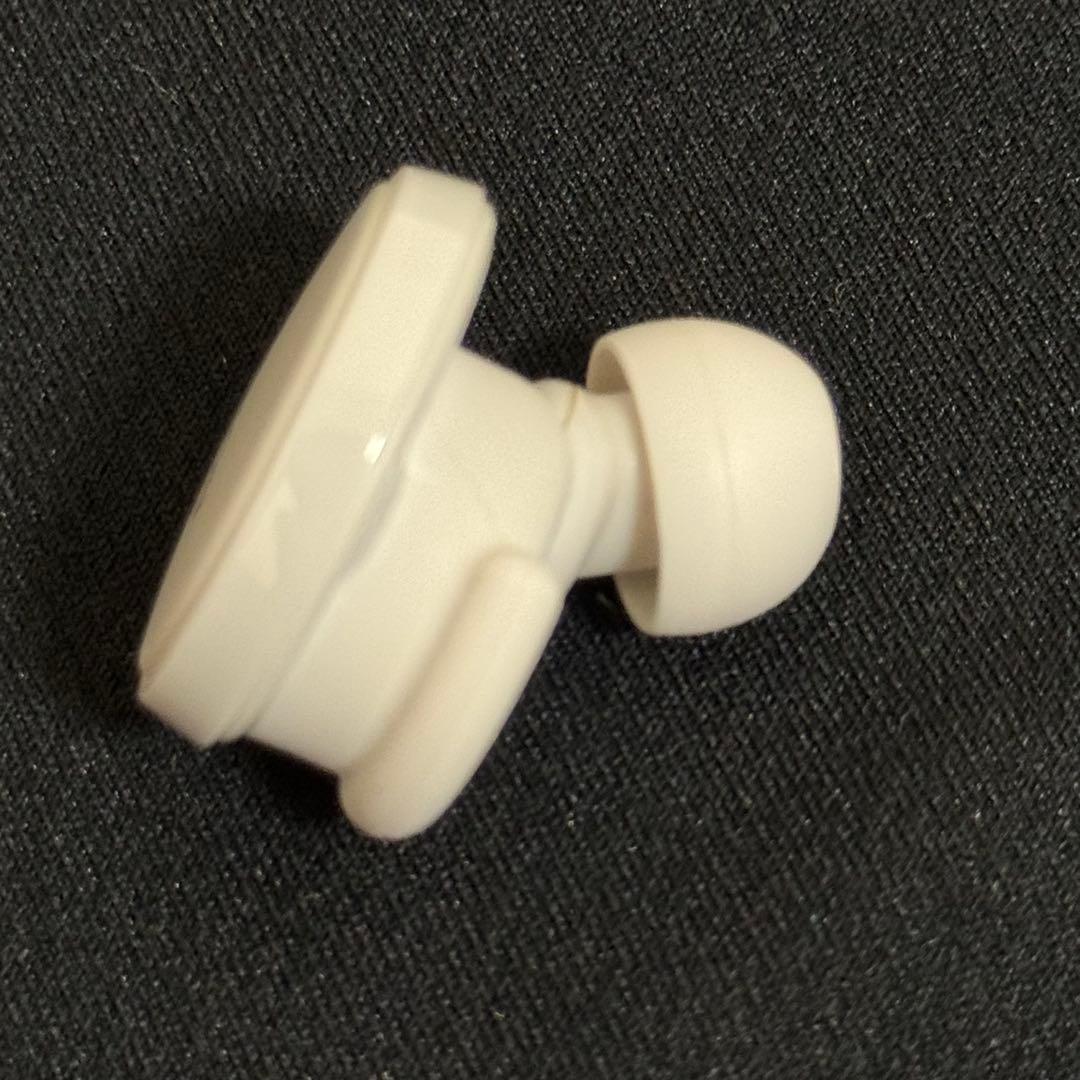 Denon Wireless Earphones Perl Pro Ah-C15Pl L