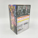 One Piece B. Dxf The Grandline Men Vol.22 [6]
