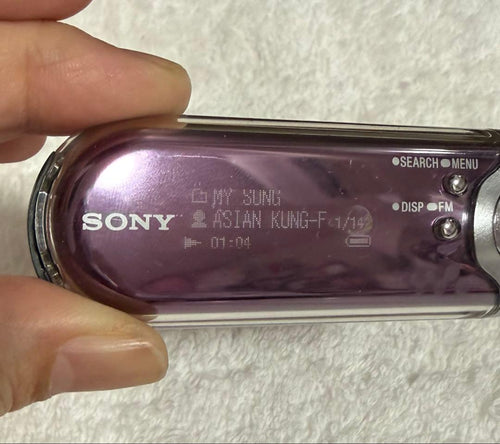 Sony Network Player Streamer Walkman Nw-E505