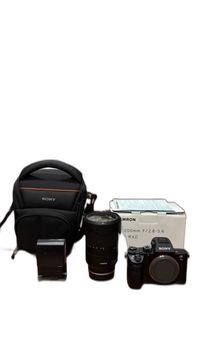 Sony Mirrorless Interchangeable Lips 7Ii Tamron 28-200Mm F2.8