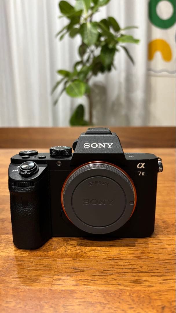 Sony Mirrorless Interchangeable Lens Cameras 7Ii Tamron 28-200Mm F2.8