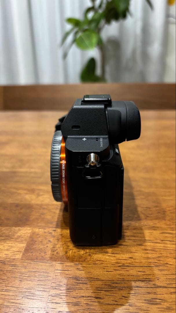 Sony Mirrorless Interchangeable Lens Cameras 7Ii Tamron 28-200Mm F2.8