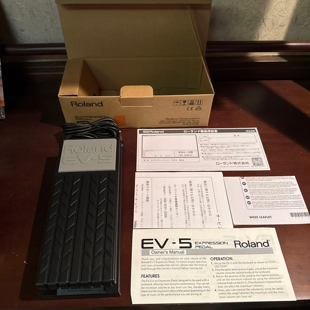 Roland Footsteps Ev-5