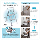 Stepladder Stepping Platform Psl-3Df