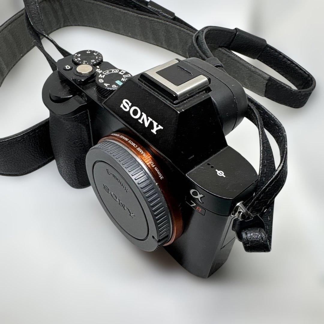 Sony Mirrorless Interchangeable Lens Cameras 7 R 7R