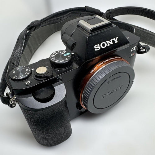 Sony Mirrorless Interchangeable Lens Cameras 7 R 7R