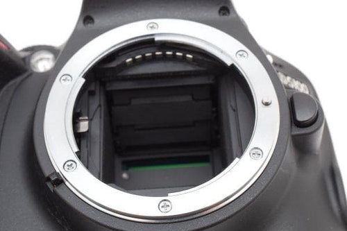 Nikon Digital Slrs D5100 1620 #1470