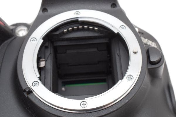 Nikon Digital Slrs D5100 1620 #1470