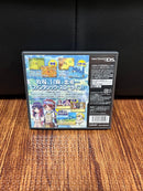 Nintendo Ds Software (Package Version) Rune Factory 2