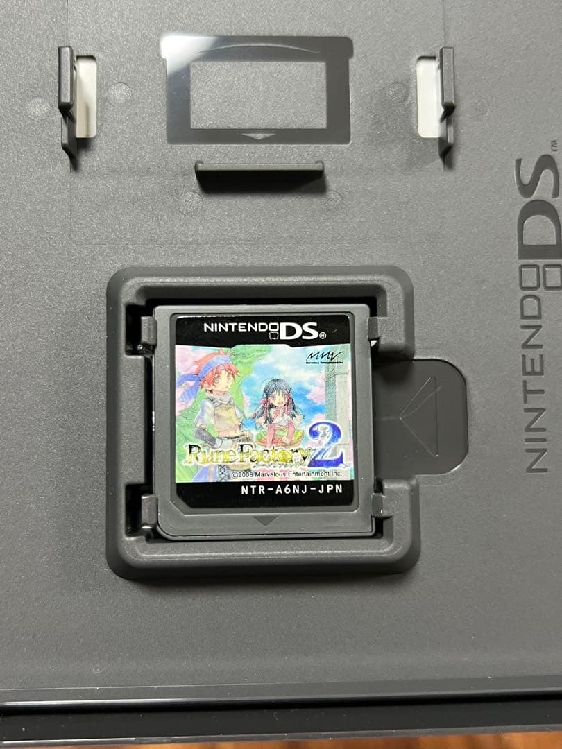 Nintendo Ds Software (Package Version) Rune Factory 2